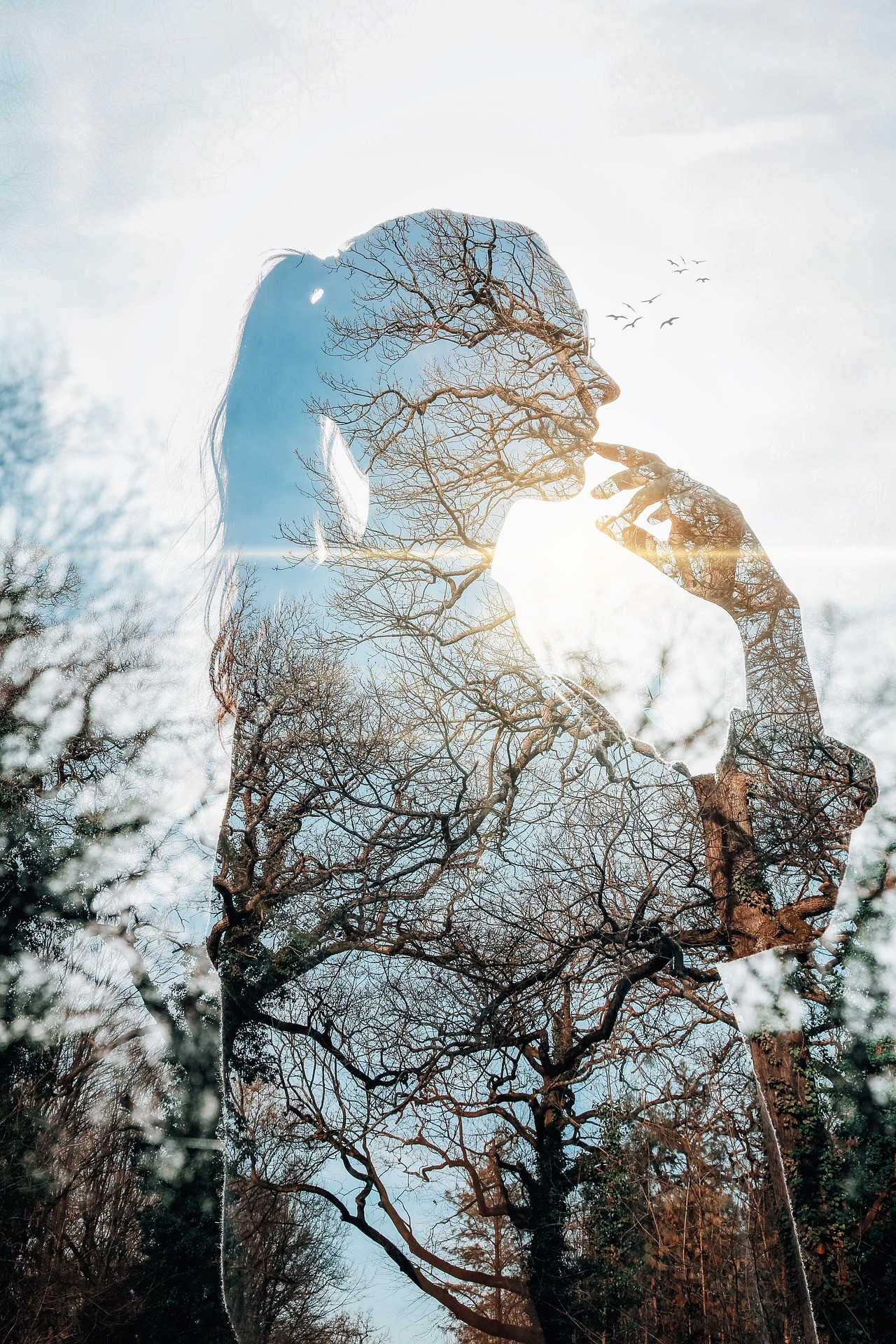 Harmonie Naturelle